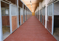 Floors for horse stables